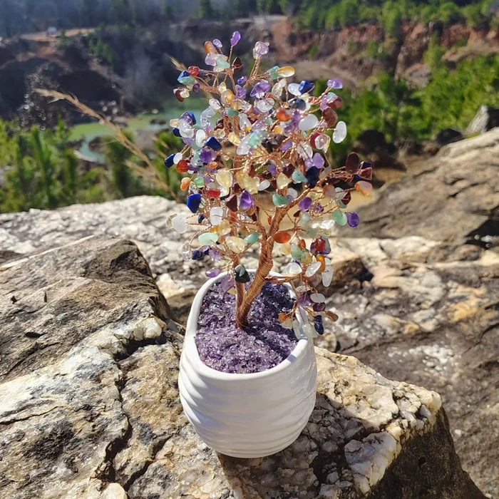 This is the right side of this multi-gemstone crystal tree in white container sitting on a boulder
