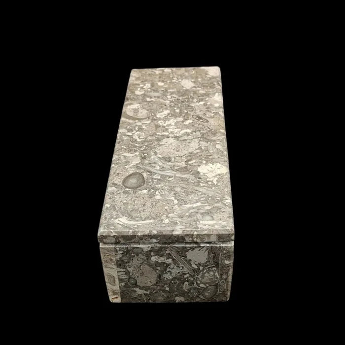 This is a different angle of this oceanic fossil onyx domino case