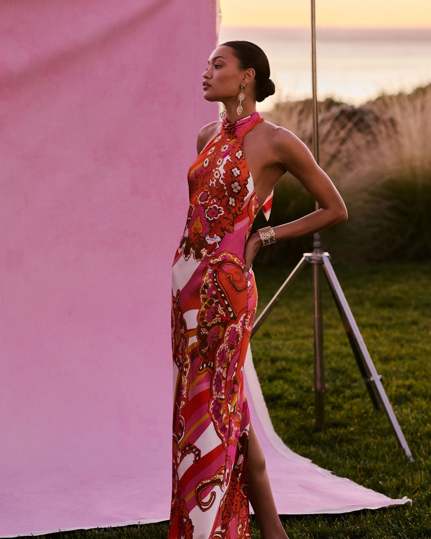 Tatiana Printed Silk Halter Gown