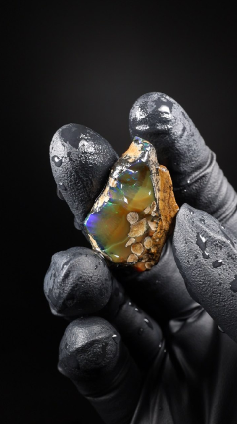 5.55g Rough Ethiopian Welo Specimen Opal