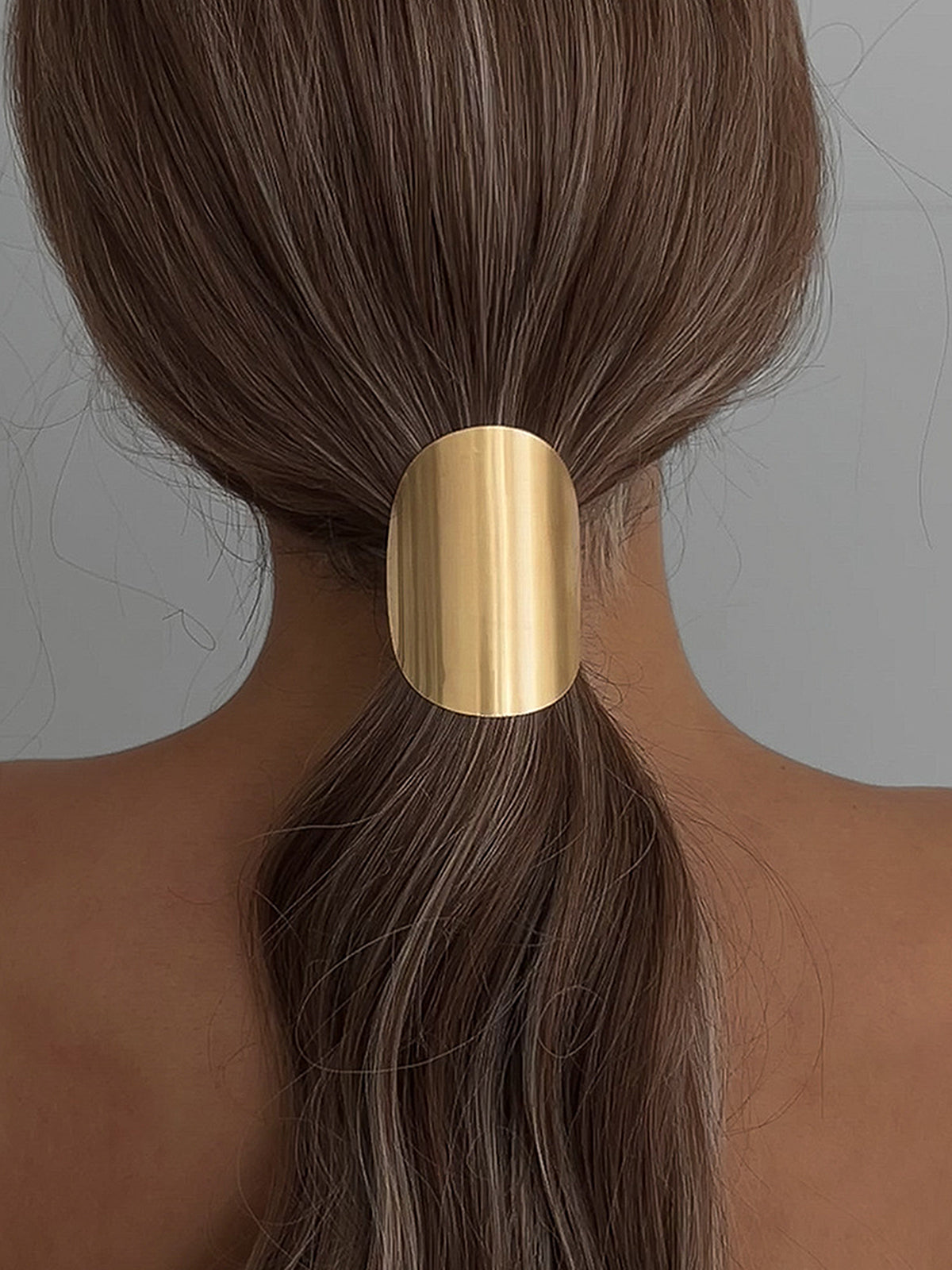 Minimalist Metallic Oval Ponytail Hair Clip
