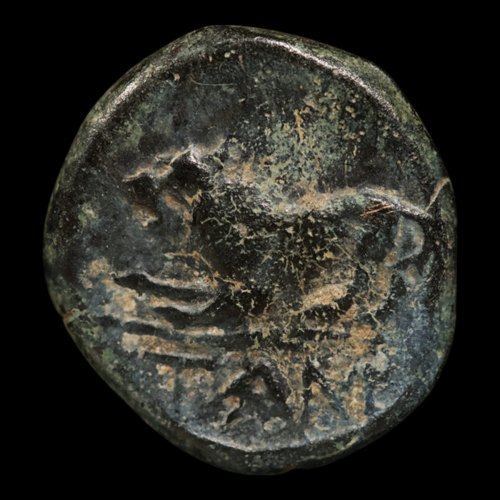 Aeolis, City of Temnos, AE Unit, Helmeted Male Head & Lion - c. 300 to 200 BCE - Greek World