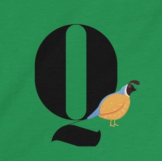 Alphabet Adventures: Letter Q - Quail Youth T-Shirt - Whippie's