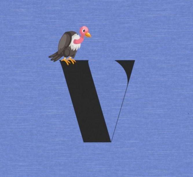 Alphabet Adventures: Letter V - Vulture Toddler T-shirt - Whippie's