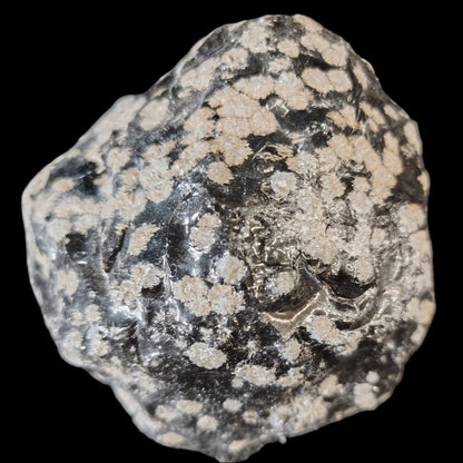 This is a close up of a piece of this Snowflake Obsidian