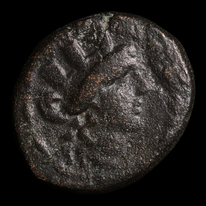 Cappadocia, Eusebeia, AE Unit, Tyche (Goddess of Fortune) - c. 96 to 63 BCE - Greek World