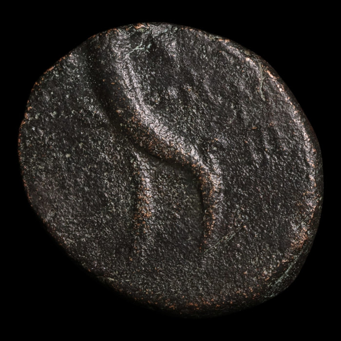 Cappadocia, Eusebeia, AE Unit, Tyche (Goddess of Fortune) - c. 96 to 63 BCE - Greek World