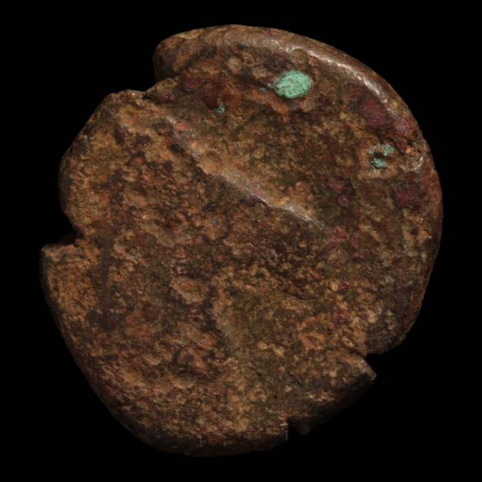 Carthage, Zeugitana, Bronze Unit - c. 350 to 250 BCE - Northern Africa