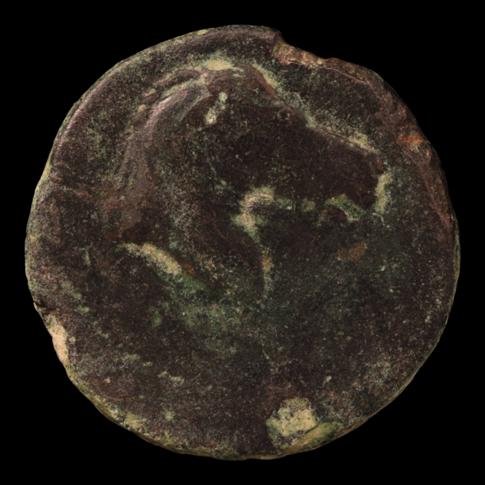 Carthage, Zeugitana, Bronze Unit - c. 350 to 250 BCE - Northern Africa