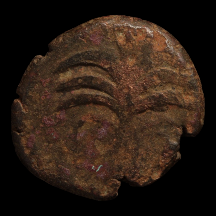 Carthage, Zeugitana, Bronze Unit - c. 350 to 250 BCE - Northern Africa