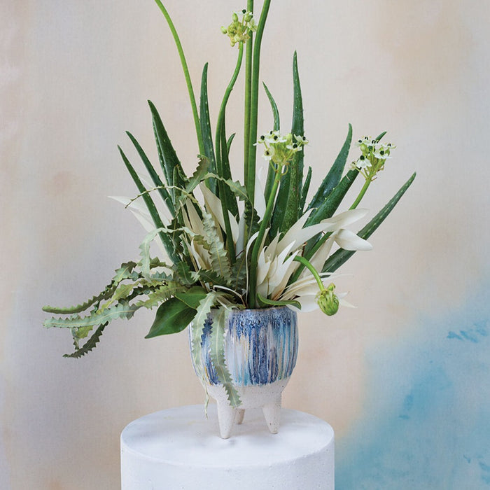 Ceramic Oasis Planter