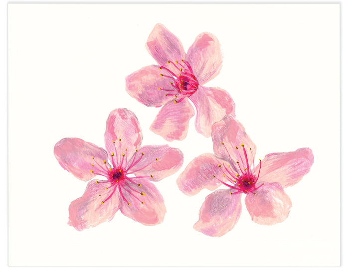 Cherry Blossom Art Print