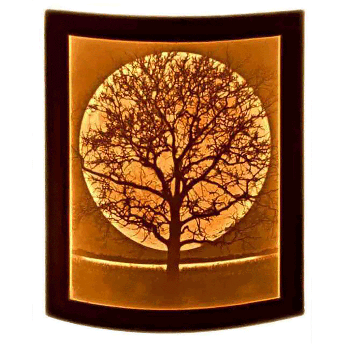 Curved Night Light