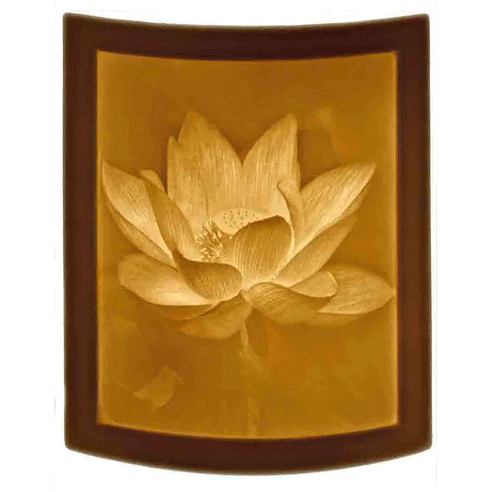 Lotus Flower