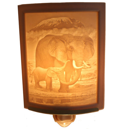 Elephant and Calf