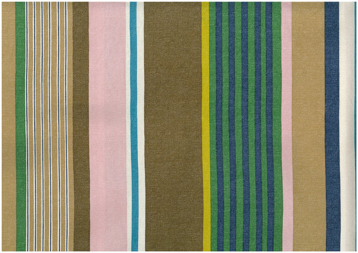 Dynamic Stripes Oxford Canvas in Green Multi