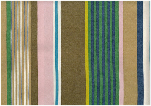 Dynamic Stripes Oxford Canvas in Green Multi