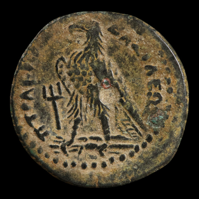 Egypt, King Ptolemy III, AE Dichalkon, Zeus & Eagle - 246 to 222 BCE - Ptolemaic Egypt