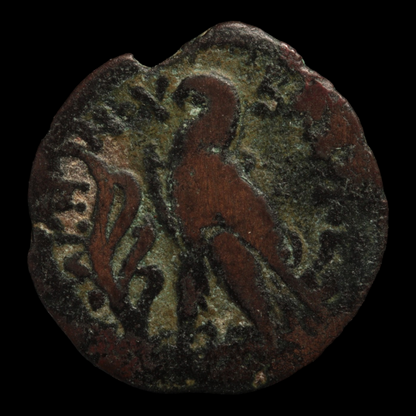Egypt, Ptolemy VIII to Ptolemy X Bronze - c. 170 to 88 BCE - Ptolemaic Kingdom
