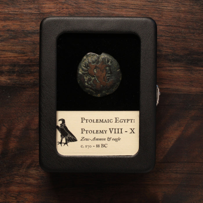 Egypt, Ptolemy VIII to Ptolemy X Bronze - c. 170 to 88 BCE - Ptolemaic Kingdom