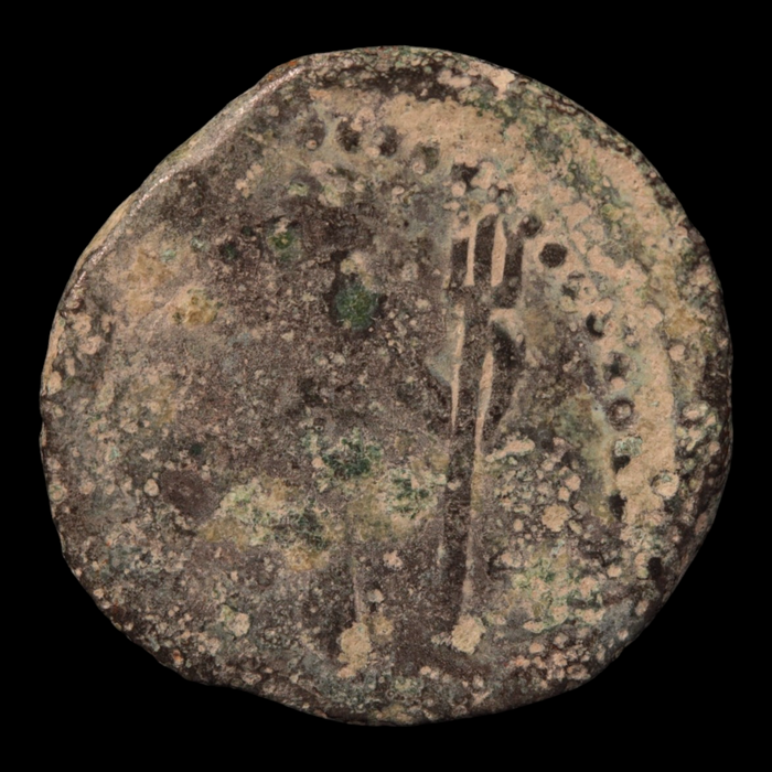 Emperor Augustus (Octavian), Roman Provincial (Carteia, Hispania) - c. 27 to 14 BCE - Roman Empire