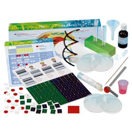 Genetics & DNA Experiment Kit