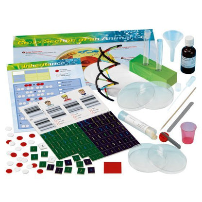 Genetics & DNA Experiment Kit