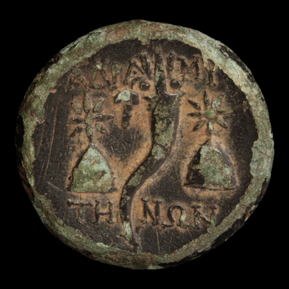 Greek World, Mysia, Adramyteion, Apollo & Cornucopia - c. 133 – 67 BCE - Asia Minor (Turkey)
