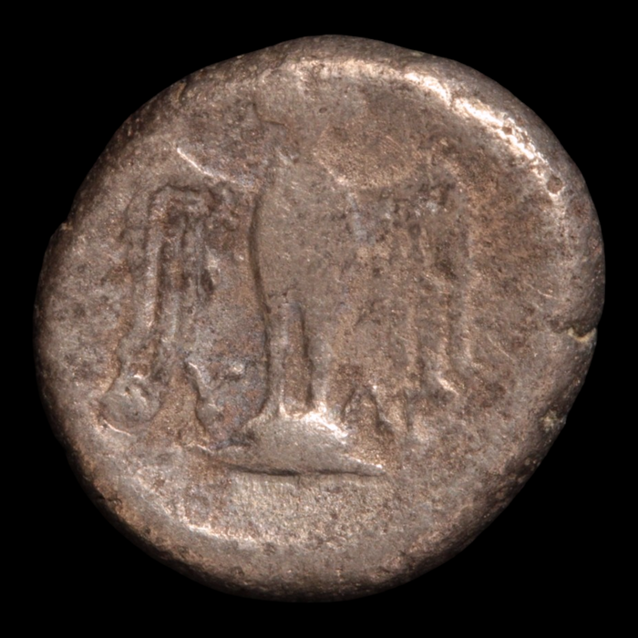 Greek World, Pontus, Amosis, Drachm, Tyche & Owl - 400 – 350 BCE - Asia Minor (Black Sea Region)