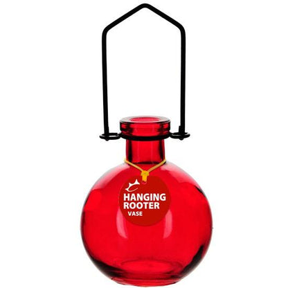 Hanging Large Ball Rooter Vase