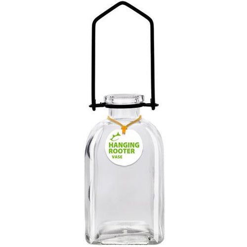 Hanging Roma Rooter Vase