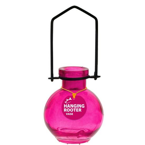 Hanging Small Ball Rooter Vase
