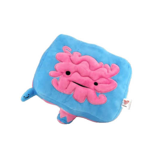 Intestine Plush