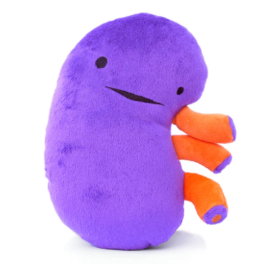 Kidney Plush