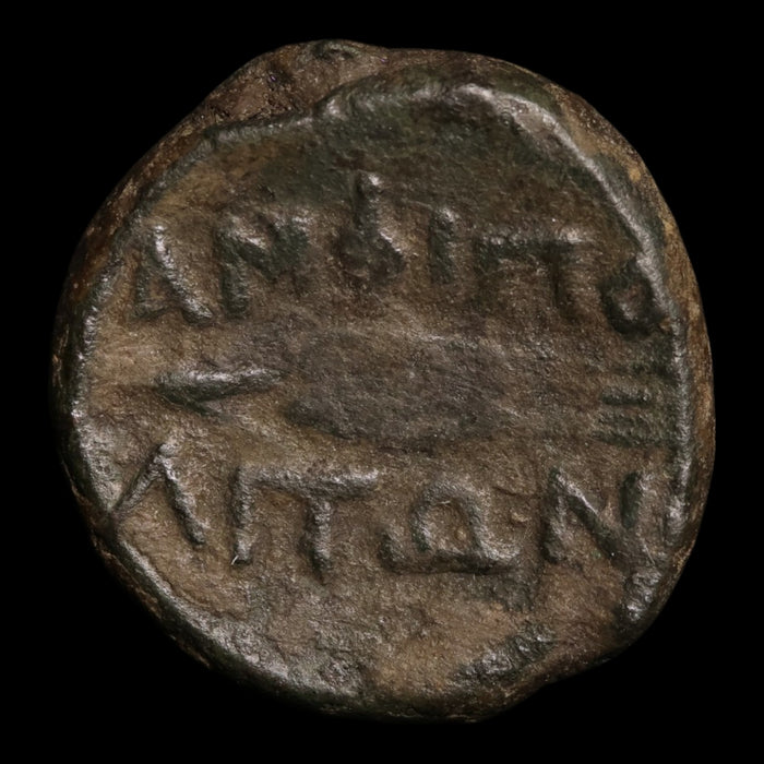 reverse