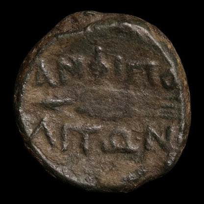 reverse