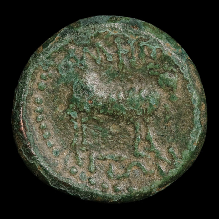 reverse