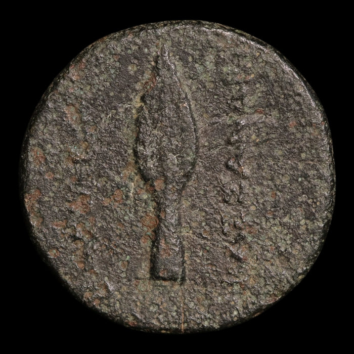 reverse