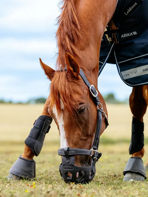 LeMieux Noma Grazing Muzzle