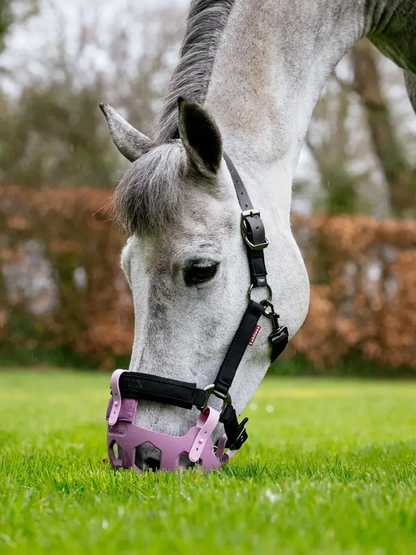 LeMieux Noma Grazing Muzzle