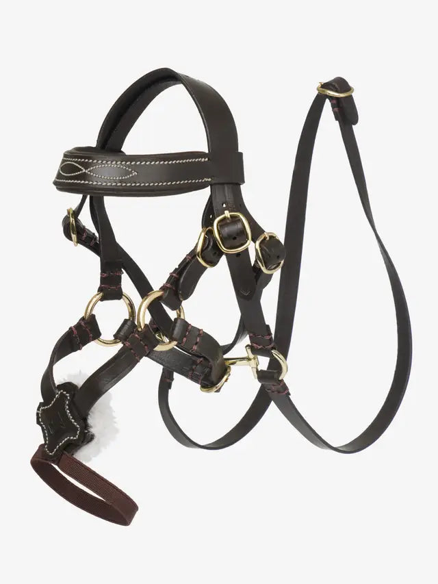 LeMieux Toy Pony Grackle Bridle