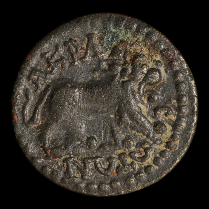 Lydia, City of Acrassus, AE Unit, Heracles & Lion - 193 to 211 CE - Greek World