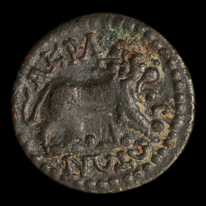 Lydia, City of Acrassus, AE Unit, Heracles & Lion - 193 to 211 CE - Greek World