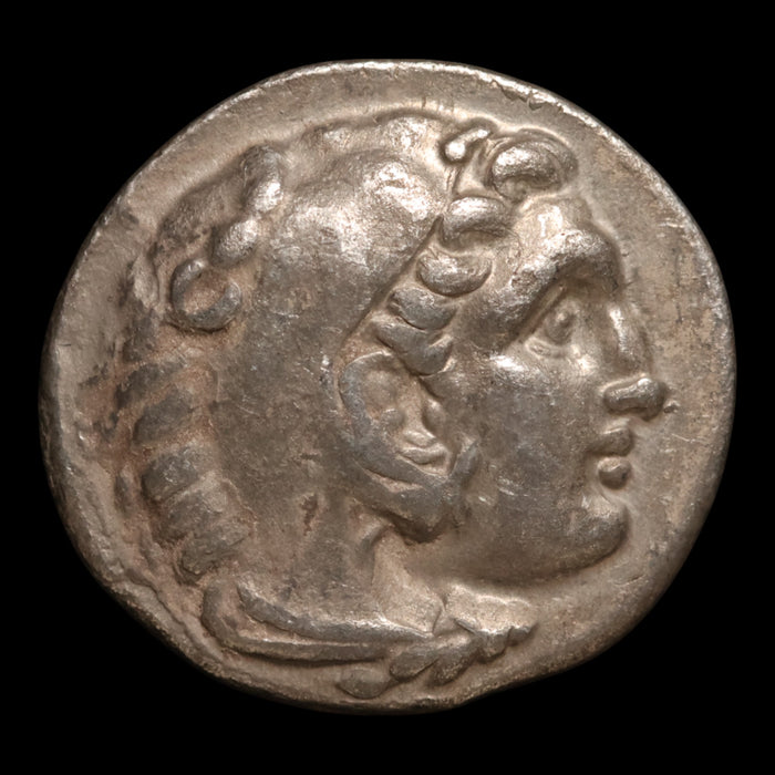 Macedon, Philip III (Successor to Alexander), Silver Drachm - 323 to 317 BCE - Greek World