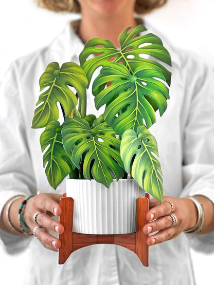 Monstera Pop-Up Houseplant
