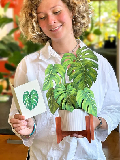 Monstera Pop-Up Houseplant
