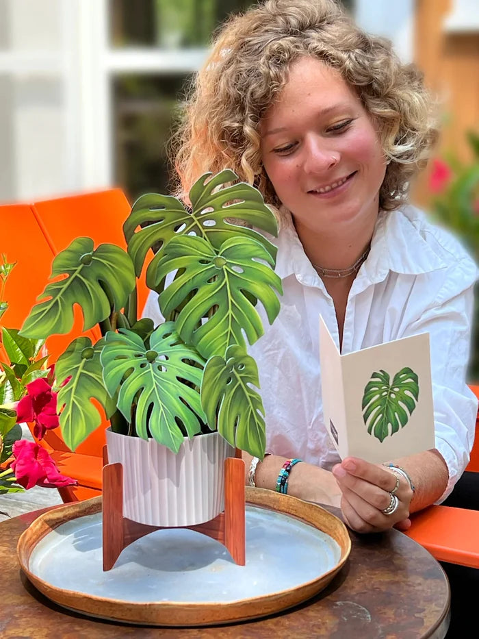 Monstera Pop-Up Houseplant