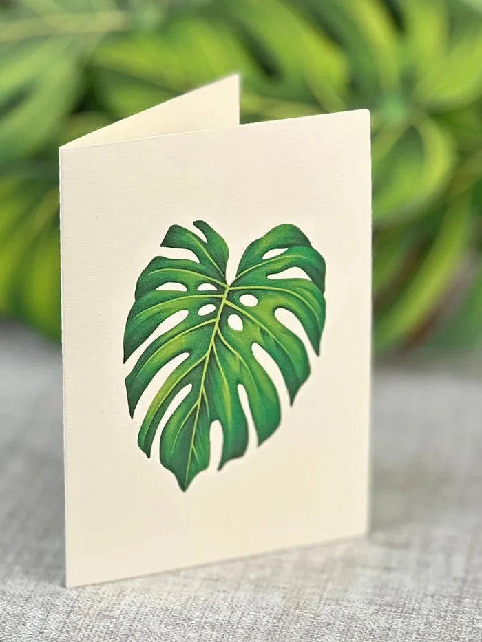 Monstera Pop-Up Houseplant