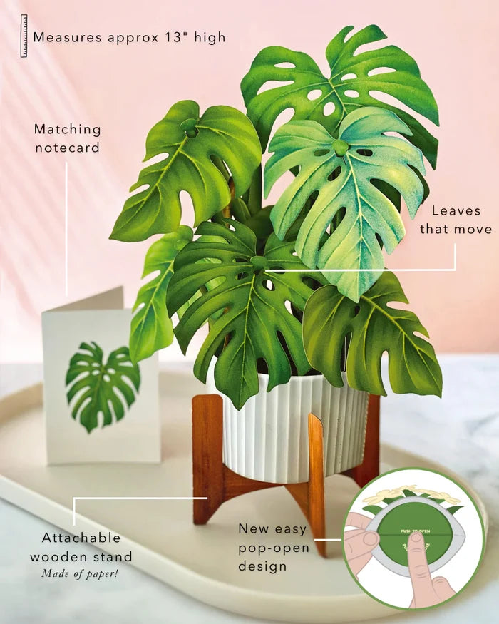 Monstera Pop-Up Houseplant