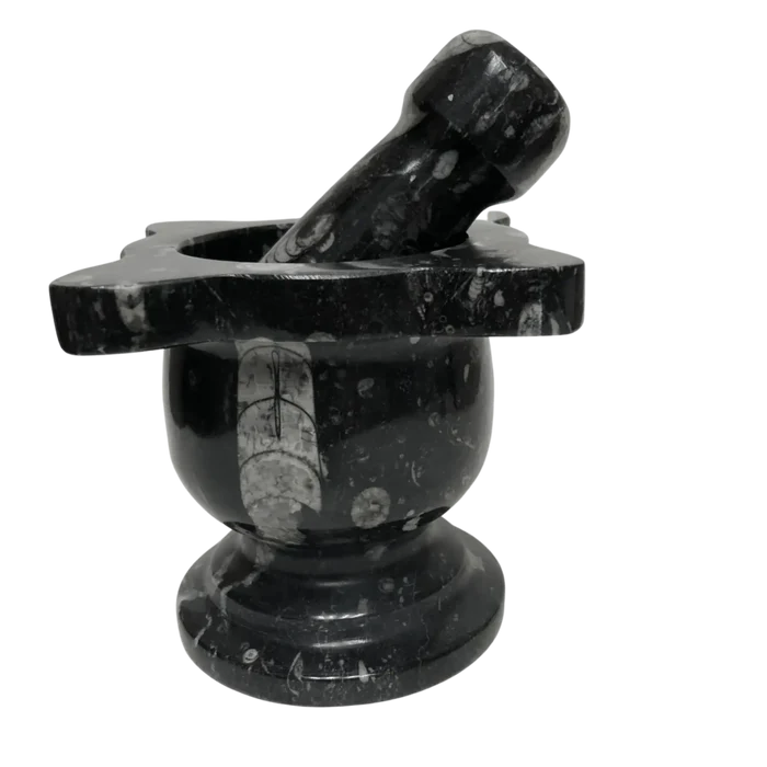 Mortar And Pestle Fossil With Scalloped Top Black Mineral